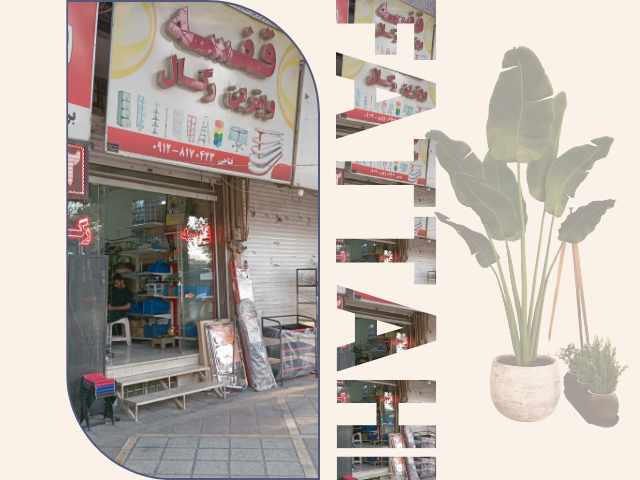 قفسه و رگال فتاحی